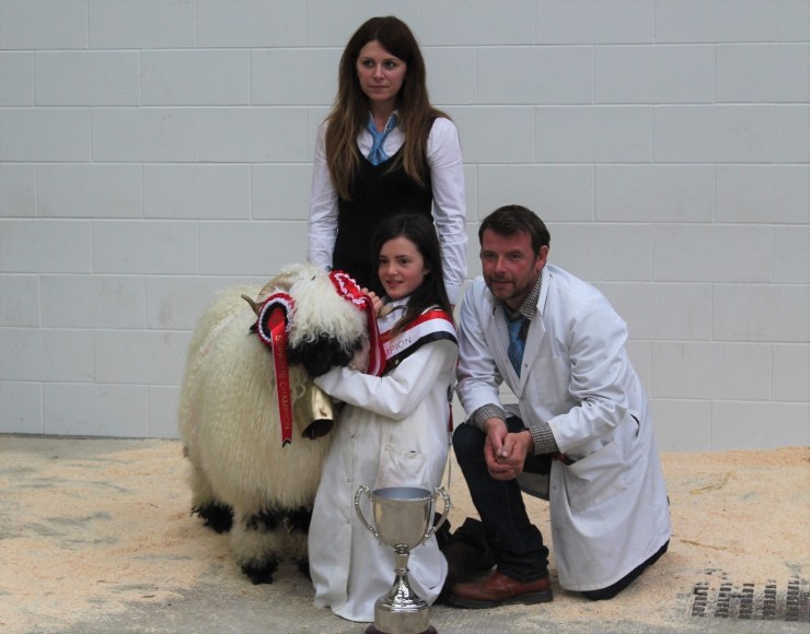 Highland Breeze at Aug 17 Carlsile Nat Show